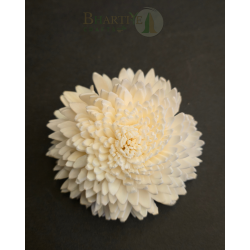 Handcrafted White Shola Flower | Eco-Friendly Natural Decorative Craft (Set of 10)