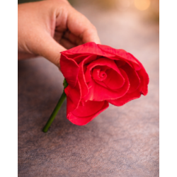 Sola Wood Paper Decorative Red Rose Flowers for DIY Crafts, Garland Making, Pooja, Wedding & Festive Decor (Diameter Approx 8cms - 10 Pieces, Red)